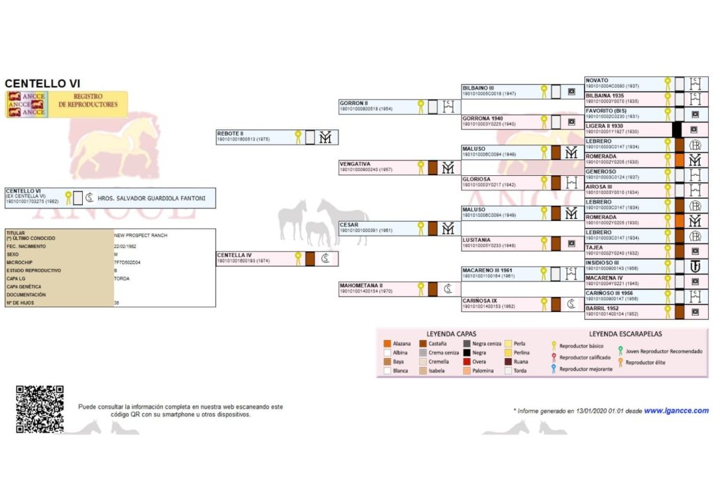 semental histórico pura raza española de la historia
